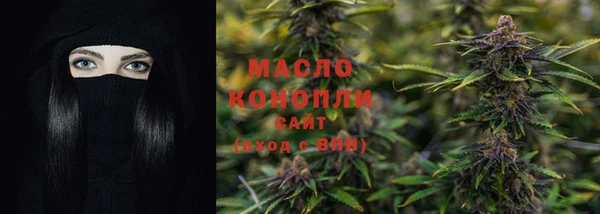 Альфа ПВП Бородино