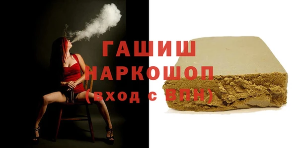 гидра Богородицк