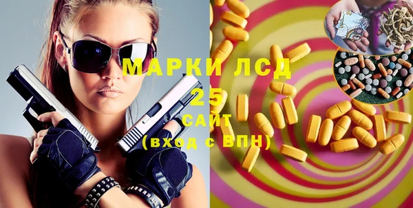 гидра Богородицк