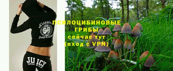Альфа ПВП Бородино