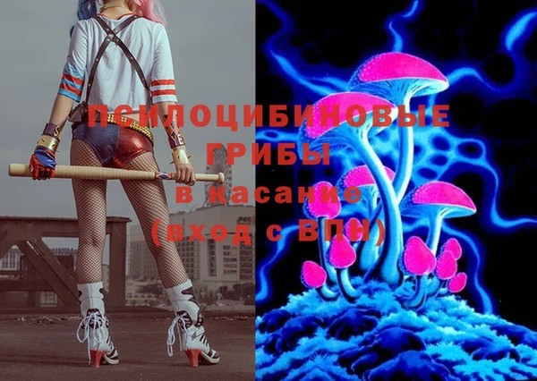 гидропоника Бугульма
