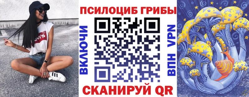 omg онион  что такое   Данилов  Галлюциногенные грибы мицелий 